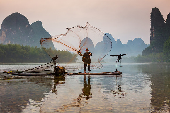 Cormorant Fisherman 4