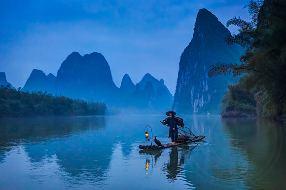 Cormorant Fisherman 9