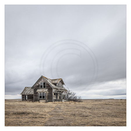 Homestead Alone