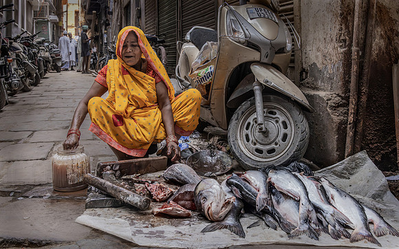 Street Fish Shop