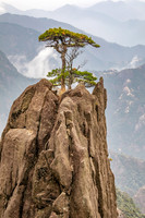 On Top of the Pinnacle