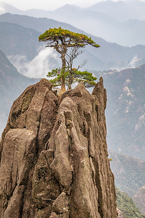 On Top of the Pinnacle