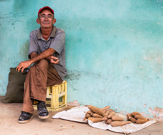 My Daily Living, Vegetable Seller