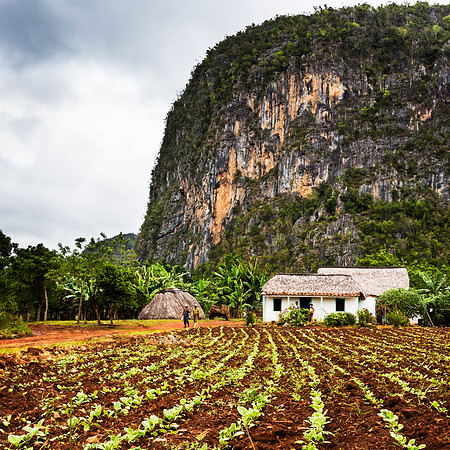 Small Farm in the Val de Vinales