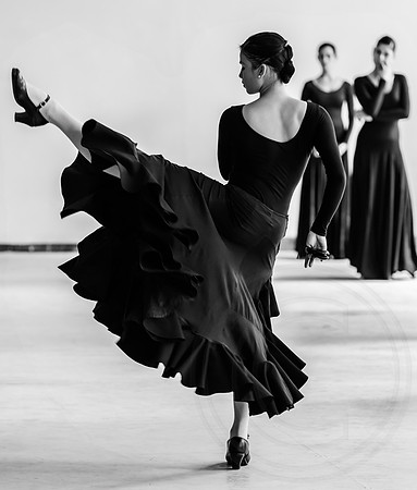 Ballet Espanol de Cuba 7 B&W