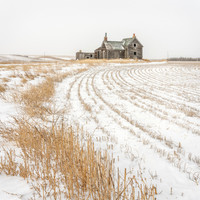 At the Edge of the Field