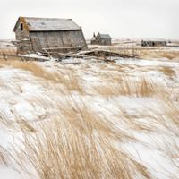 Battered by the Wind