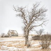 Cottonwood, Village Church and Car