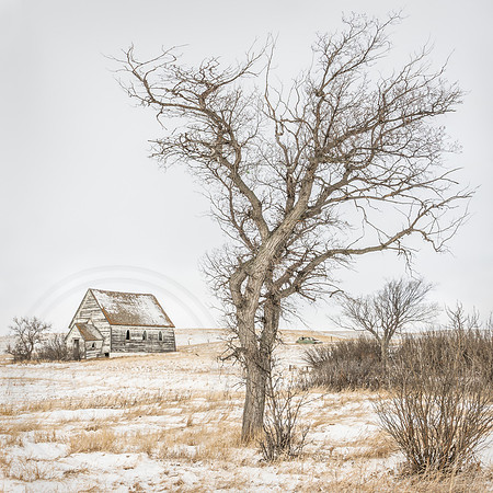 Cottonwood, Village Church and Car