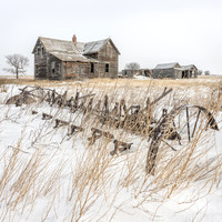 Farming, a Forgotten Occupation