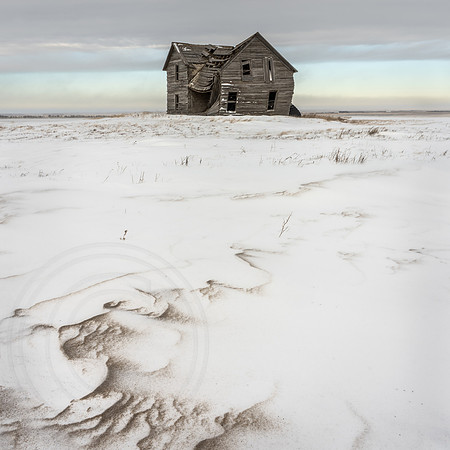 Snow Marks