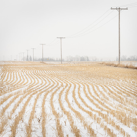 Lines in the Snow