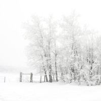 Stillness