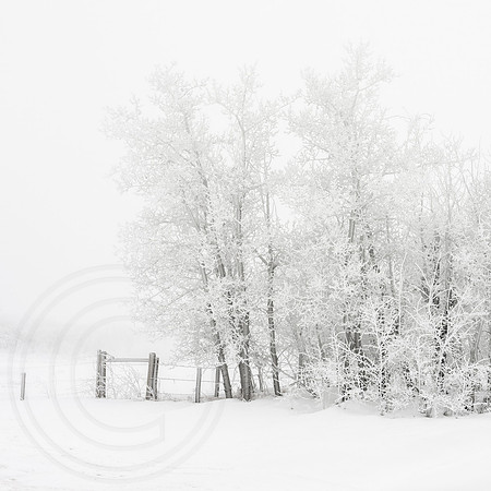 Stillness