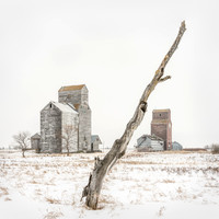 Winter Saskatchewan, Canada, 2026