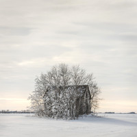 Alone in the Fading Light