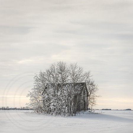 Alone in the Fading Light