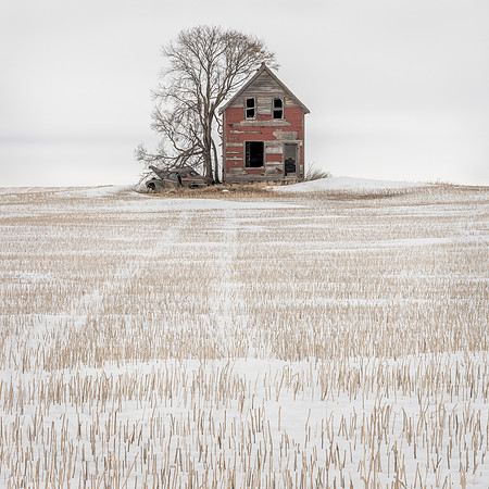 Tracks to a Forgotten Time
