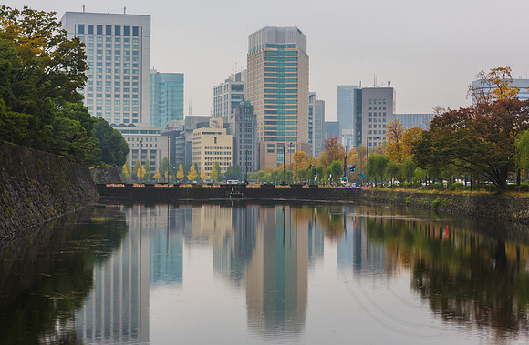 Tokyo Reflections