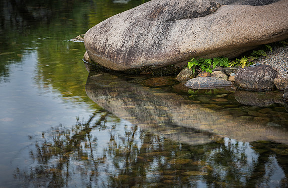 Pond Reflection 1