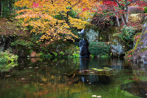 Hakone Garden
