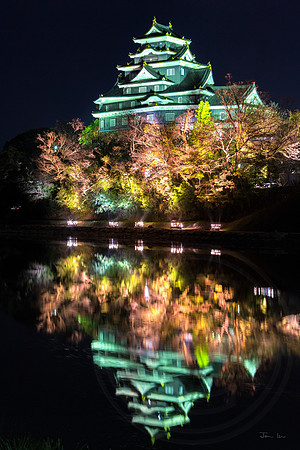 Okayama Castle Night Display