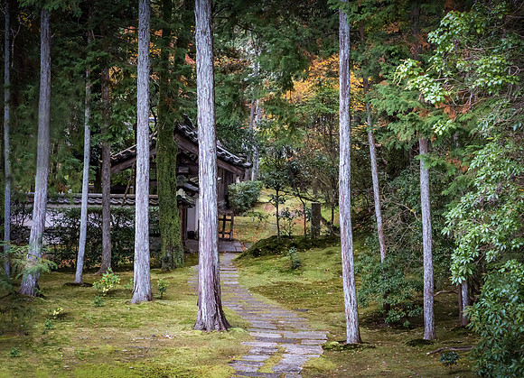 Enticing Trail