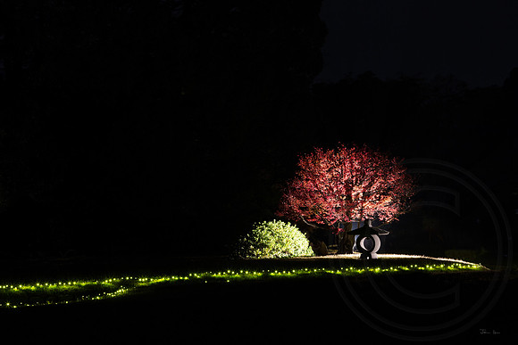 Okayama Korakuen Garden Night Display