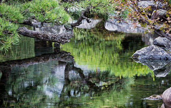 Pond Reflection 2