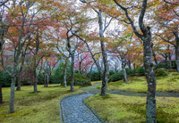 Hakone Garden 2