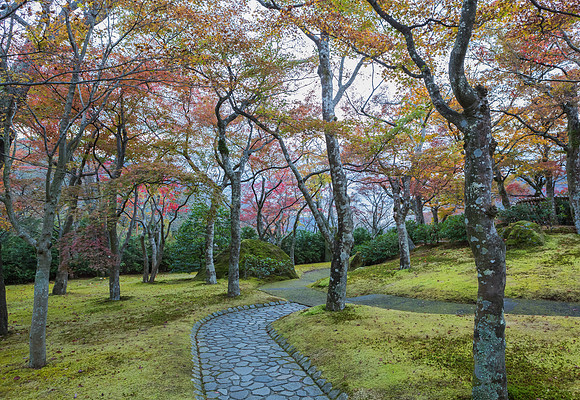 Hakone Garden 2