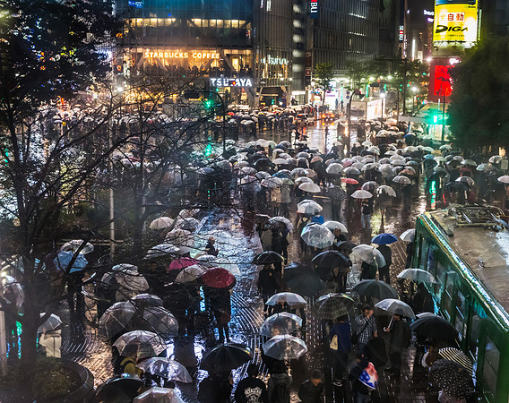 Waiting for the Green Light, Tokyo