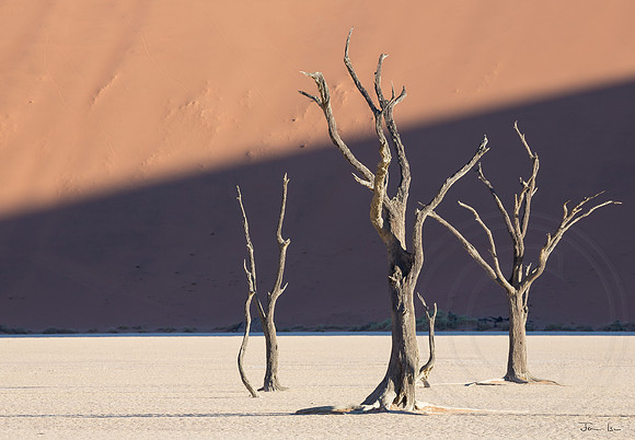 Dead Vlei 10