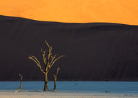 Dead Vlei 3