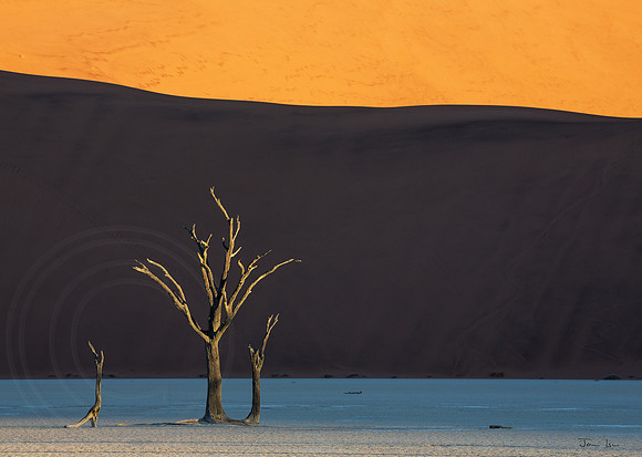 Dead Vlei 3
