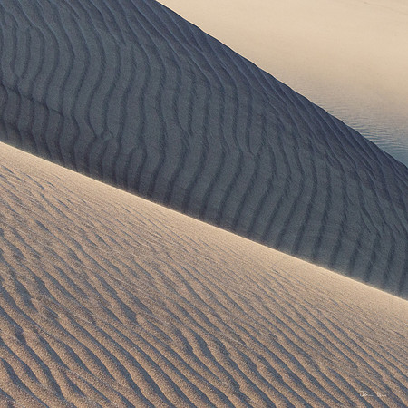 Swapkopmund Dune Detail 17