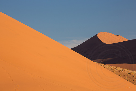 Dune 45 Nearby