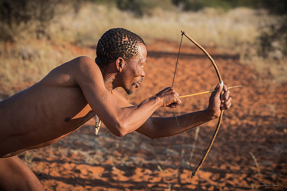 Bushman, Firing an Arrow, Kalahari 2