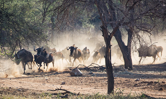 Stampede 2