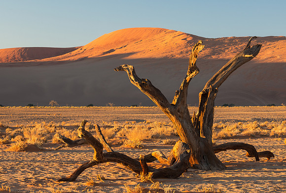 Dune 45 Nearby Golden Hour