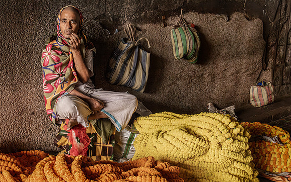 Marigold Seller