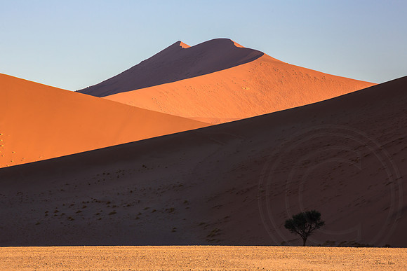 Dune 45, Nearby, Geometric Shapes