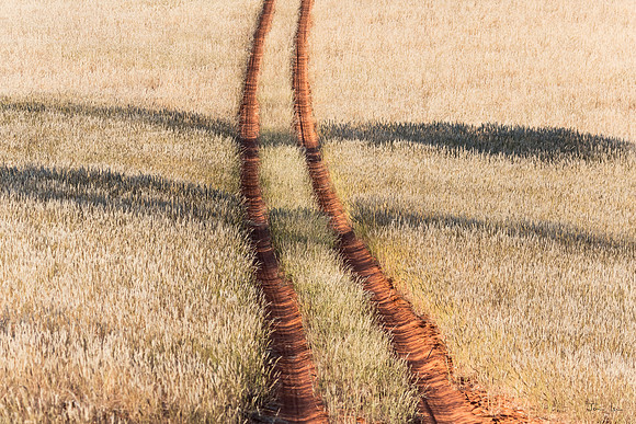 Kalahari, Anyone for Noughts and Crosses_