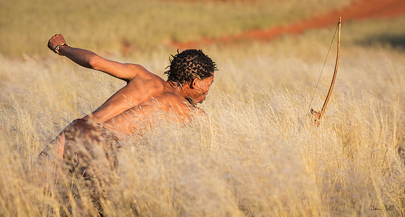 Bushman, firing an Arrow, Kalahari