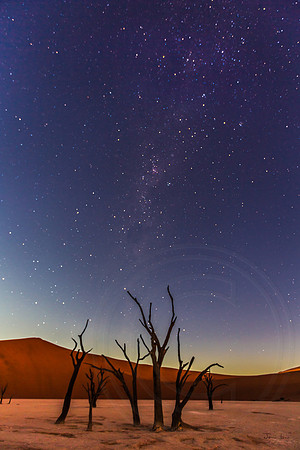 Dead Vlei Milky Way