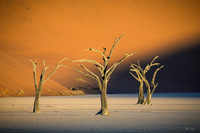 Namibia 2016