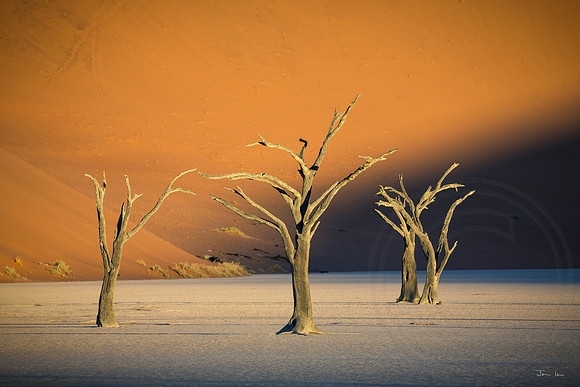 Dead Vlei 1