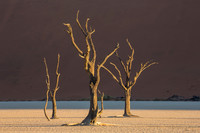 Dead Vlei 4