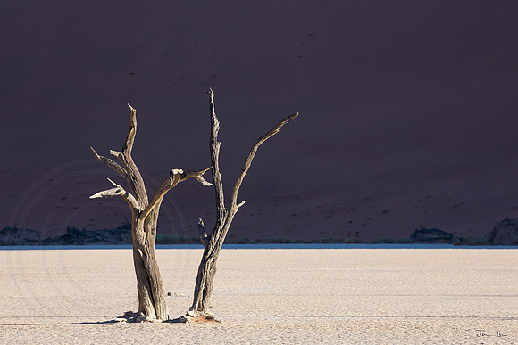 Dead Vlei 9