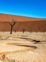 Dead Vlei Rivulet